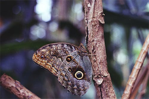 电影怪谈剧情介绍（电影怪谈剧情介绍详细）