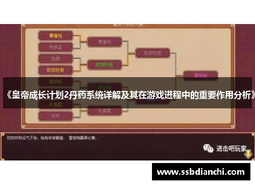 《皇帝成长计划2丹药系统详解及其在游戏进程中的重要作用分析》